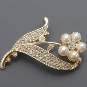 تصویر سنجاق سینه سفید پرکار 