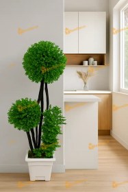 تصویر درختچه تزئینی بزرگ 