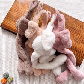 تصویر گوشگیر پمپی پیشی 