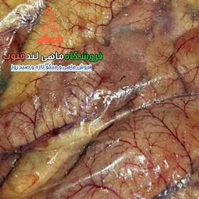 تصویر اشپل ماهی(سنگسر،شیر،سرخو،کبوتر،مقوا) (یک کیلو) 