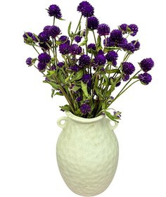 تصویر گل خشک دکمه ای 