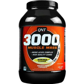 تصویر پودر ماسل مس ۳۰۰۰ کیو ان تی QTN Muscle Mass 3000