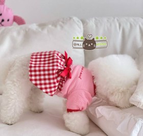 تصویر پودل عروسکی 