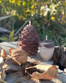 تصویر شمع همستر 