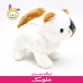 تصویر عروسک گربه موزیکال 