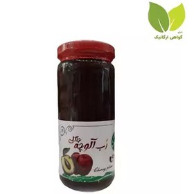 تصویر رب آلوچه جنگلی ارگانیک 600گرم گل باغ سی 