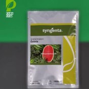 تصویر بذر هندوانه گالاتا سینجنتا ۱۰۰۰ عدد 