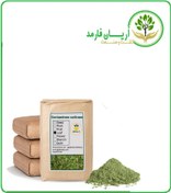 تصویر پودر گیاه گشنیز فله 