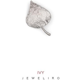 تصویر گل سینه برگ پیچک کد JL.JBW.99019 