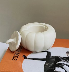 تصویر کدو سنگی دکوری 