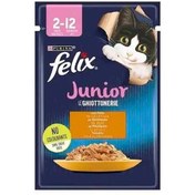 تصویر پوچ گربه فلیکس با طعم مرغ در ژله cat felix chicken pouch in jelly