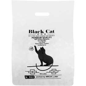 تصویر خاک بستر گربه مستر کت مدل بلک کت دانه شکسته وزن 8 کیلوگرم 