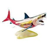 تصویر مولاژ کوسه ماهی 