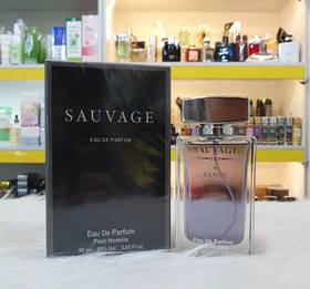 تصویر ادوپرفیوم مردانه سندی ساواج SAUVAGE حجم 90 میلی لیتر 