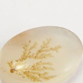 تصویر سنگ شجر کد 3040 