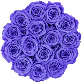 تصویر Lavender Eternal Roses in Blue Box | کد: ZNB-1J9A 