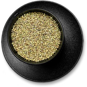 تصویر تخم گشنیز درجه یک 