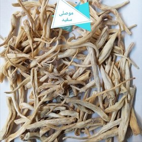 تصویر موصلی ثعلب مصری اصلی 100 گرمی بدون خاکه 