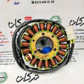 تصویر بوبین ( دستگاه ) سیم پیچی برق موتور پالس 180 UG4 ( بدون هندل ، زین دو تکه ) ، 200 و 220 ( 18 پره ) اصلی 