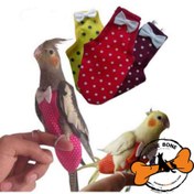 تصویر پوشک عروس هلندی 