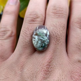 تصویر نگین شجر طبیعی کد ۱۲۰۸۸ 