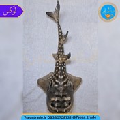 تصویر دکوری کلکسیونی ماهی کوسه قاشقی تاکسیدرمی طبیعی ۴۱ سانتی 