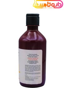 تصویر شامپو انار تثبیت رنگ انلیل Enlil, Stabilizing Shampoo With Pomegranate Extract