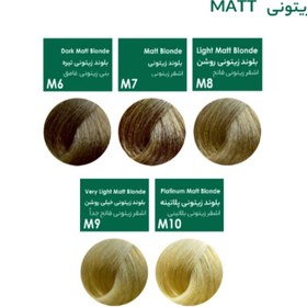 تصویر رنگ موی کراتینه ویتامینه حاوی ویتامین c بدون آمونیاک پیکارو - 8.3 بلوند طلایی روشن PICCARO AMMONIA FREE HAIR COLOOR