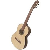 تصویر گیتار پارسی مدل guitar p70 
