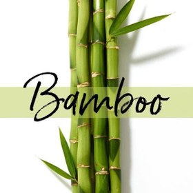 تصویر ماسک مو پنتن PANTENE موشکی مدل bamboo حجم ۳۰۰ میلی لیتر 