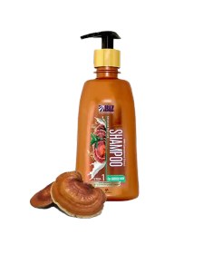 تصویر شامپو گانودرما دکتر بیز مناسب موی چرب Biz shampoo Ganooderma for oily hair