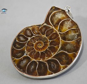 تصویر فسیل آمونیت 24 گرم 