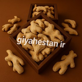 تصویر زنجبیل قلم 5 کیلویی ( زنجبیل خشک ) فله کیلویی 484.000 تومان