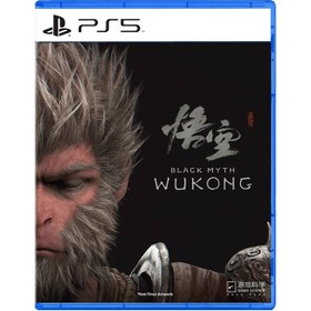 تصویر بازی Black Myth Wukong برای PS5 Black Myth Wukong for PS5