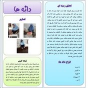 تصویر طرح جابر با موضوع دانه ها چگونه سفر می کنند؟ به همراه دفتر کارنما 
