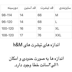 تصویر تیشرت طرح پروانه ای آبی H&M(کد1298) 