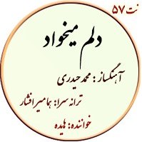 تصویر نت57. دلم میخواد 