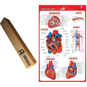 تصویر پوستر آموزشی قلب انسان 