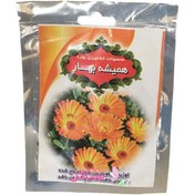 تصویر بذر گل همیشه بهار بهارکMarigold spring seeds 