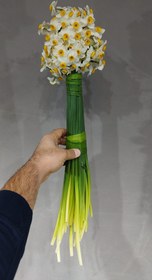 تصویر گل نرگس 