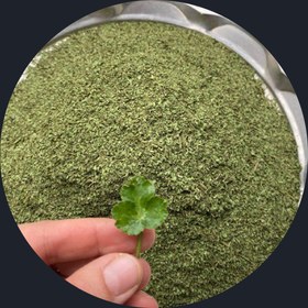 تصویر چوچاق خشک تمیز و شسته شده