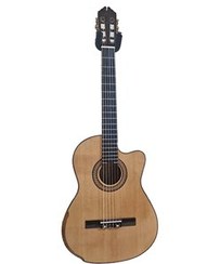 تصویر گیتار رودریگز کات وی 