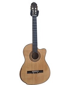 تصویر گیتار رودریگز کات وی 