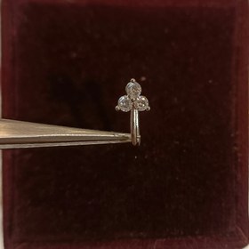 تصویر پیریسینگ بینی 