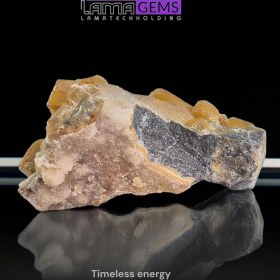 تصویر رمبوئدر نباتی 