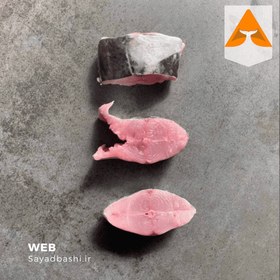 تصویر ماهی شیر 