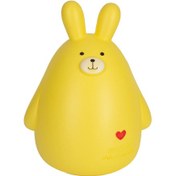 تصویر قلک خرگوش زیباسازان 