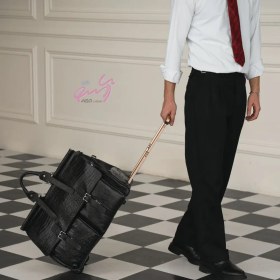 تصویر چمدان ساتیار 