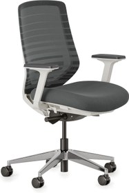 تصویر Branch Ergonomic Chair - A Versatile Desk Chair with Adjustable Lumbar Support Breathable Mesh Backrest and Smooth Wheels - Experience Optimal Comfort and Support - Graphite - White - ارسال 15 الی 20 روز کاری 