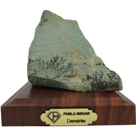 تصویر سنگ شجر فسیلی (دندریتی ) 6428 